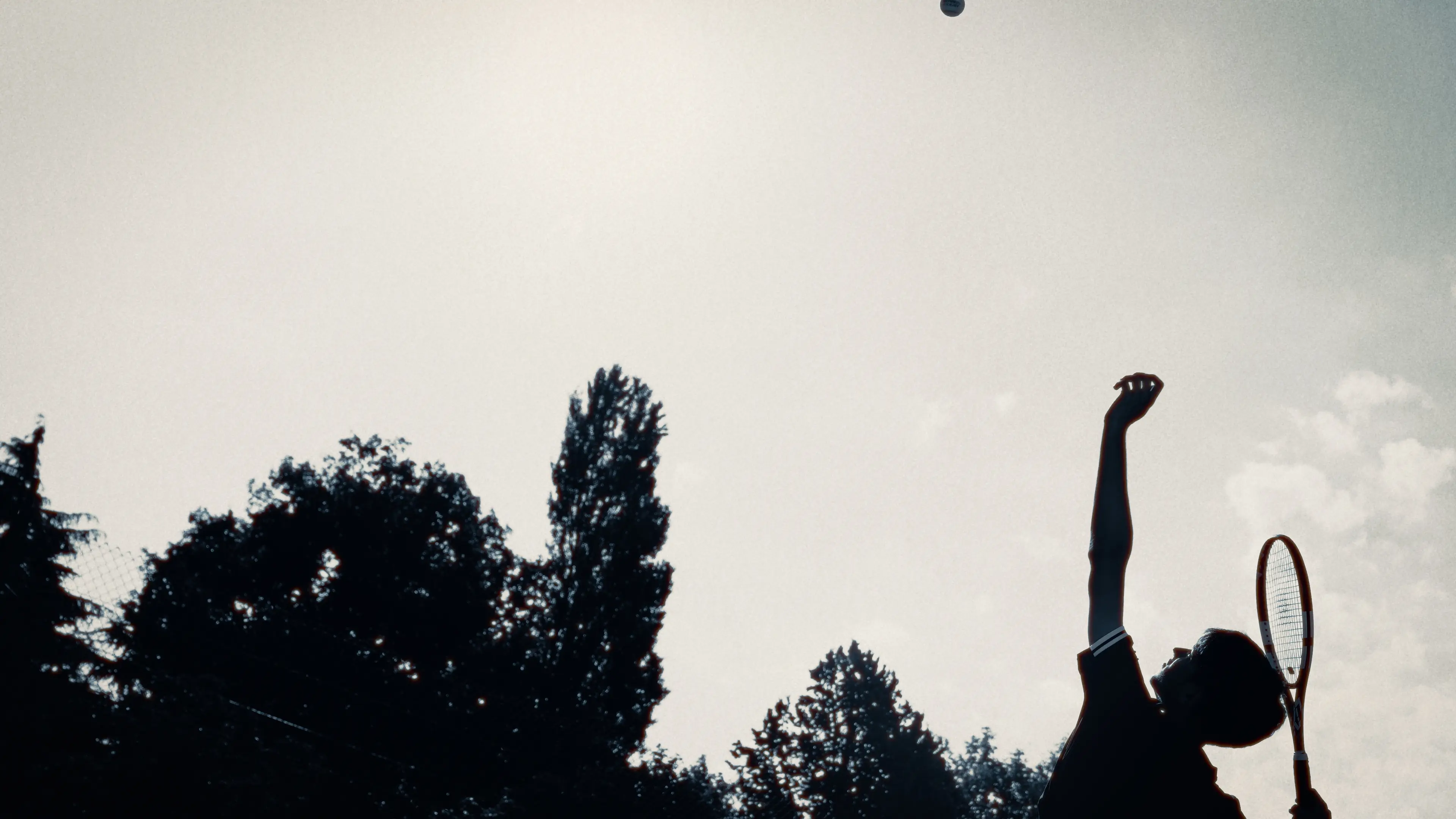 Babolat, photographie 3