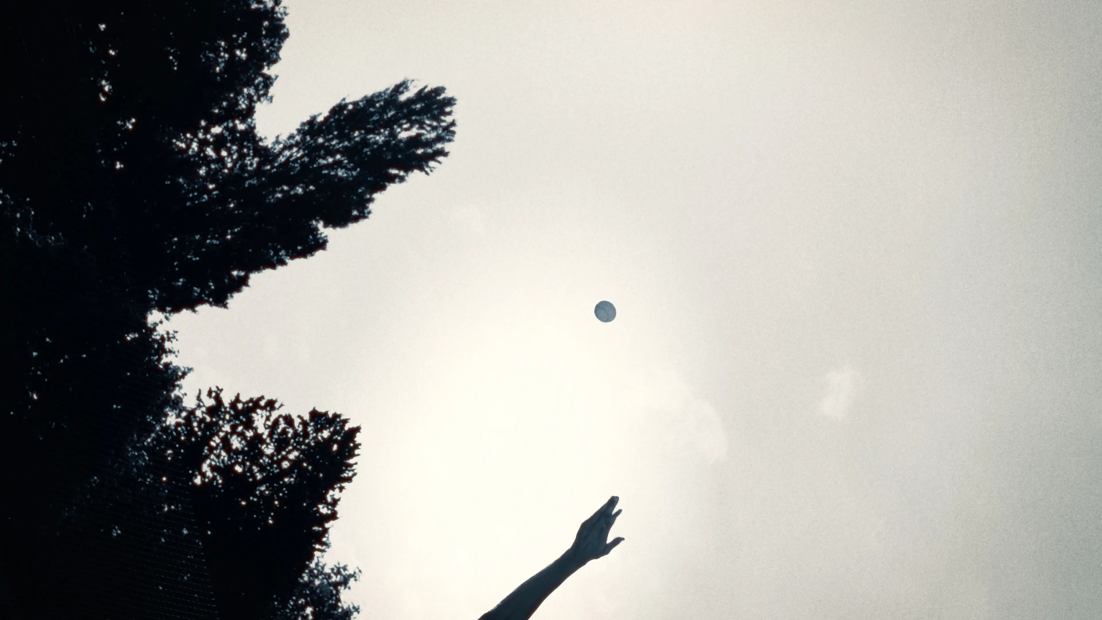 Babolat, photographie 5