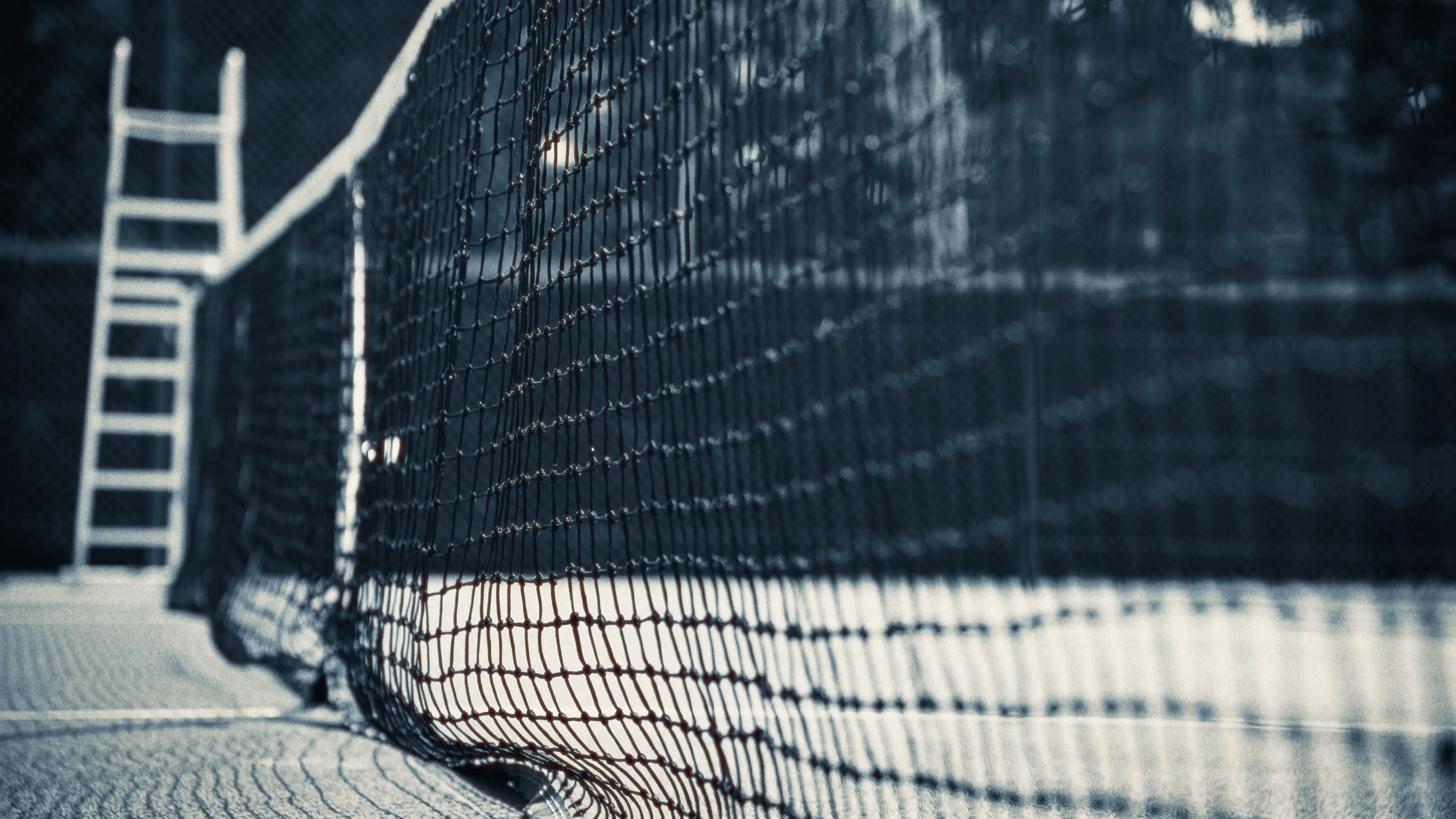 Babolat, photographie 8